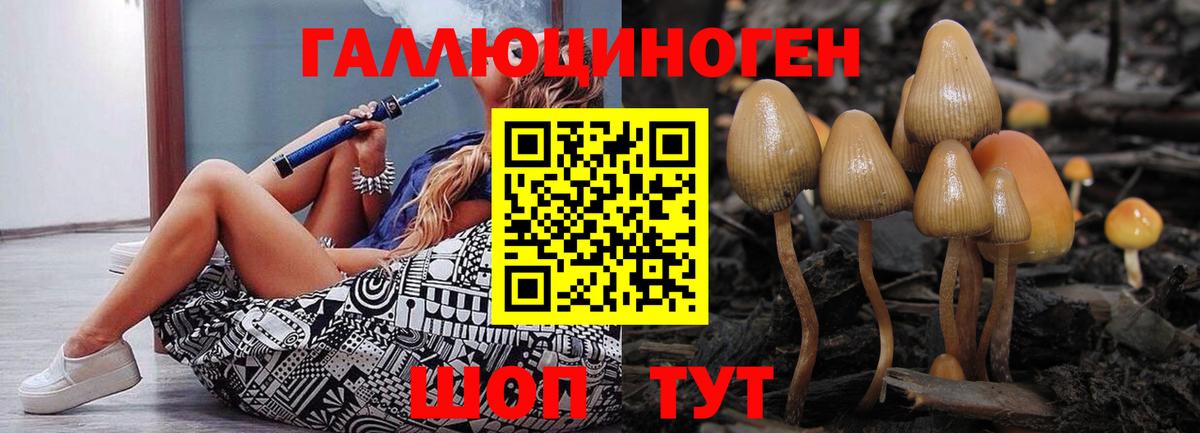 Псилоцибиновые грибы Cubensis Уфа